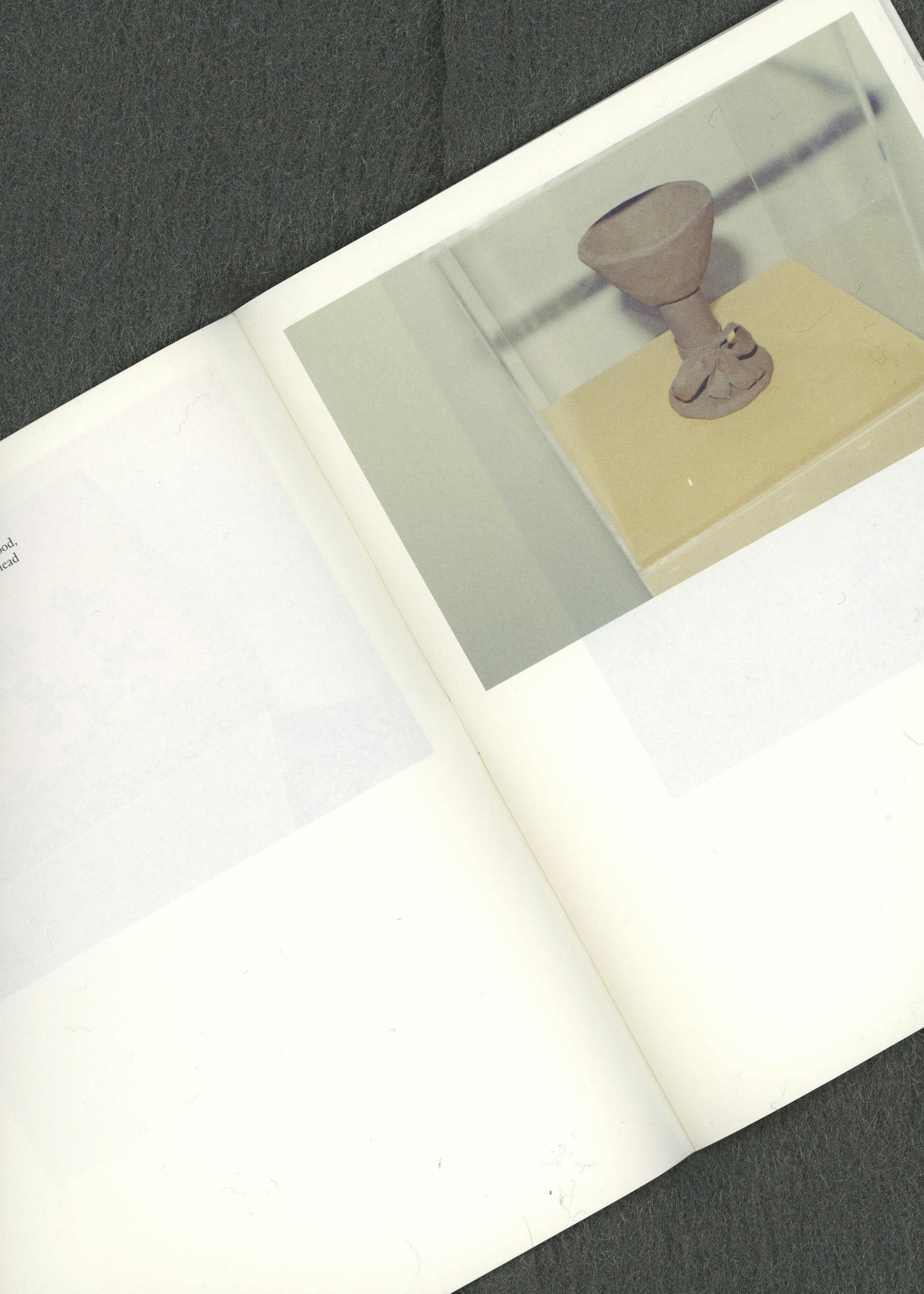 Publication 02 If I did, I did, I die