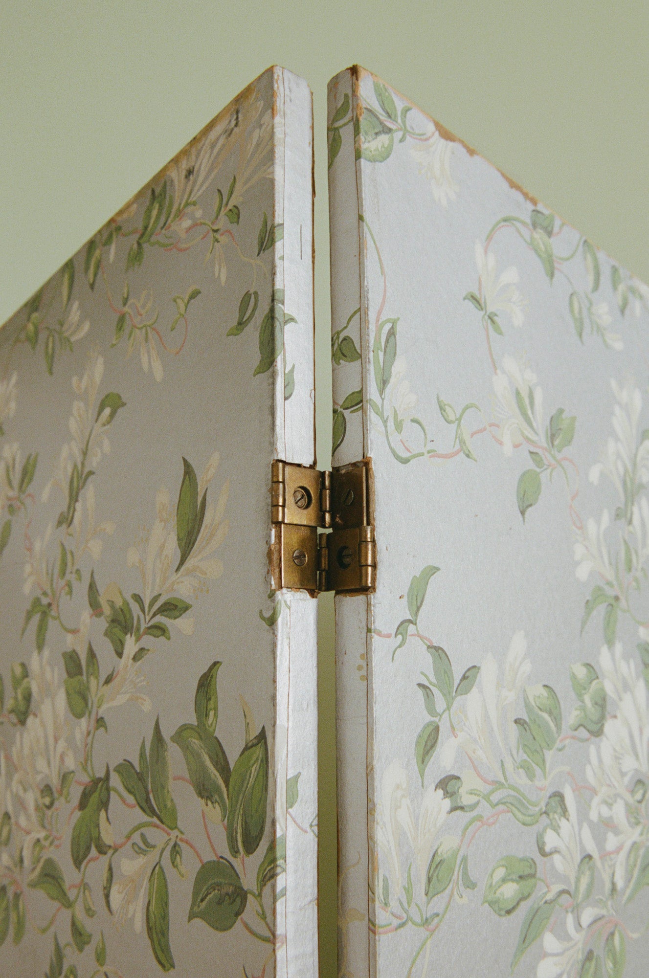 Pair of Chinoiserie Dressing Screens