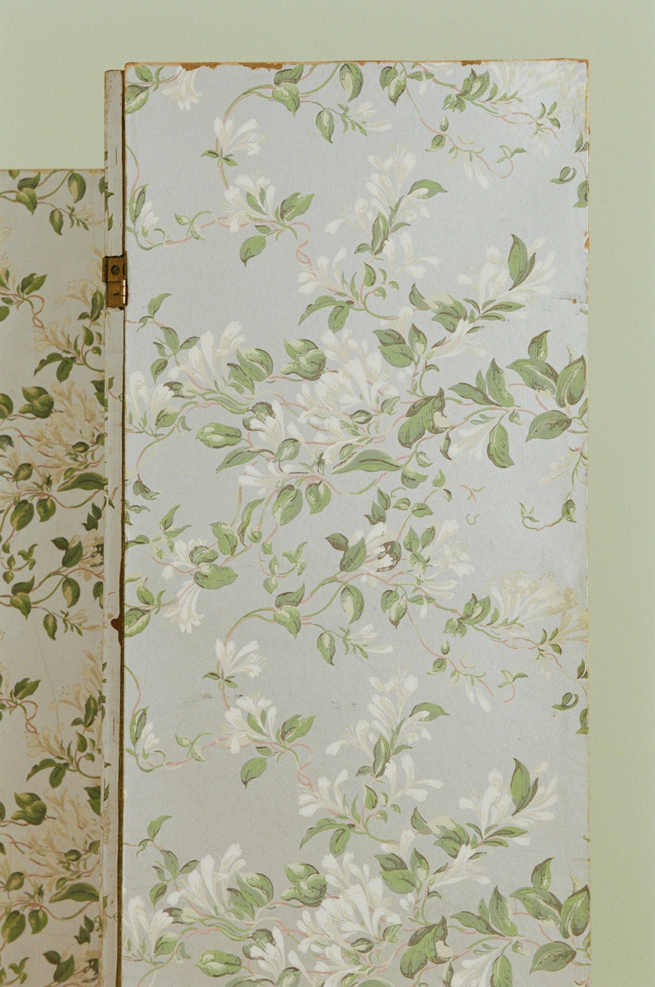 Pair of Chinoiserie Dressing Screens