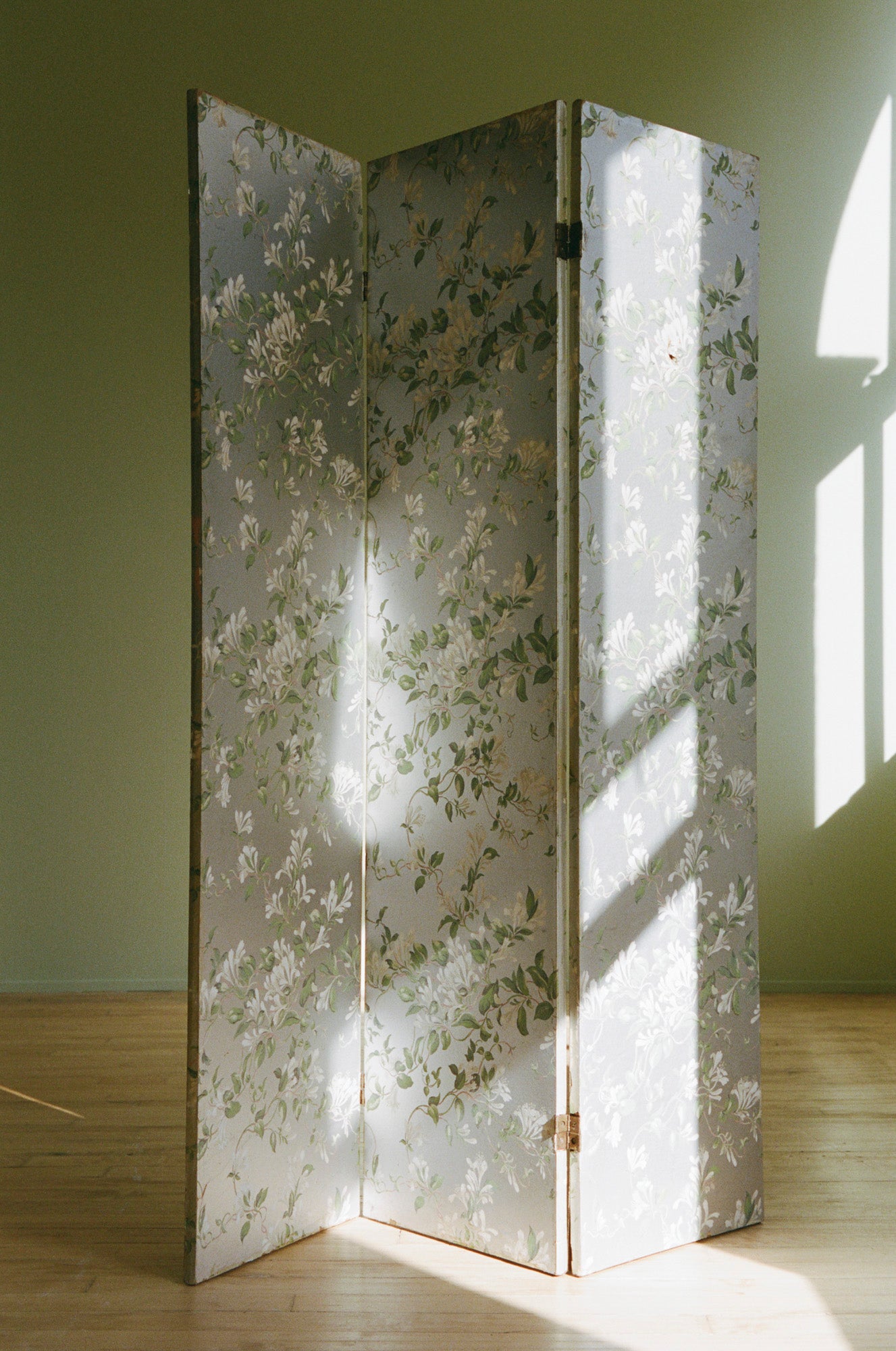 Pair of Chinoiserie Dressing Screens