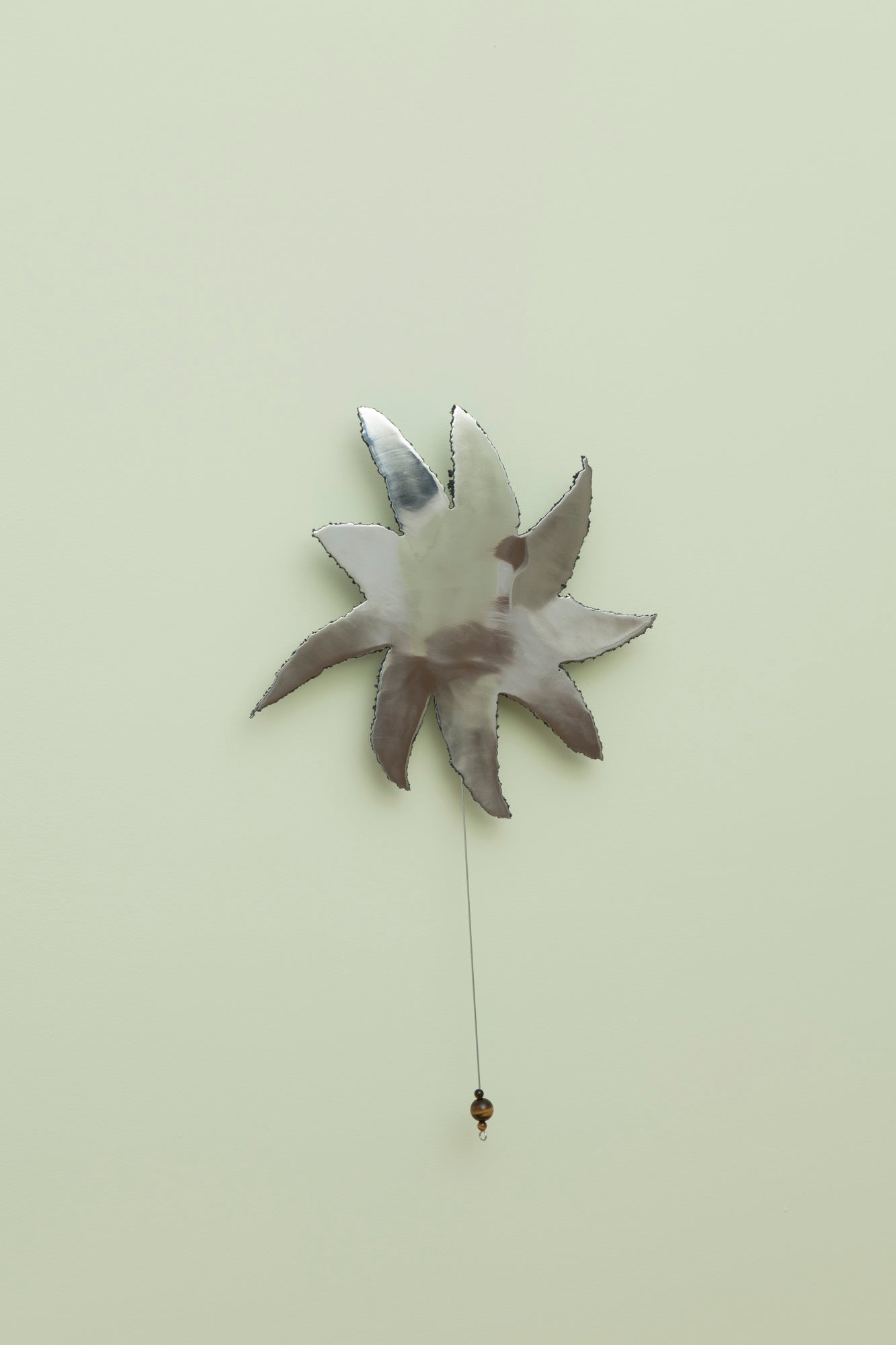 6 Winged Bird
