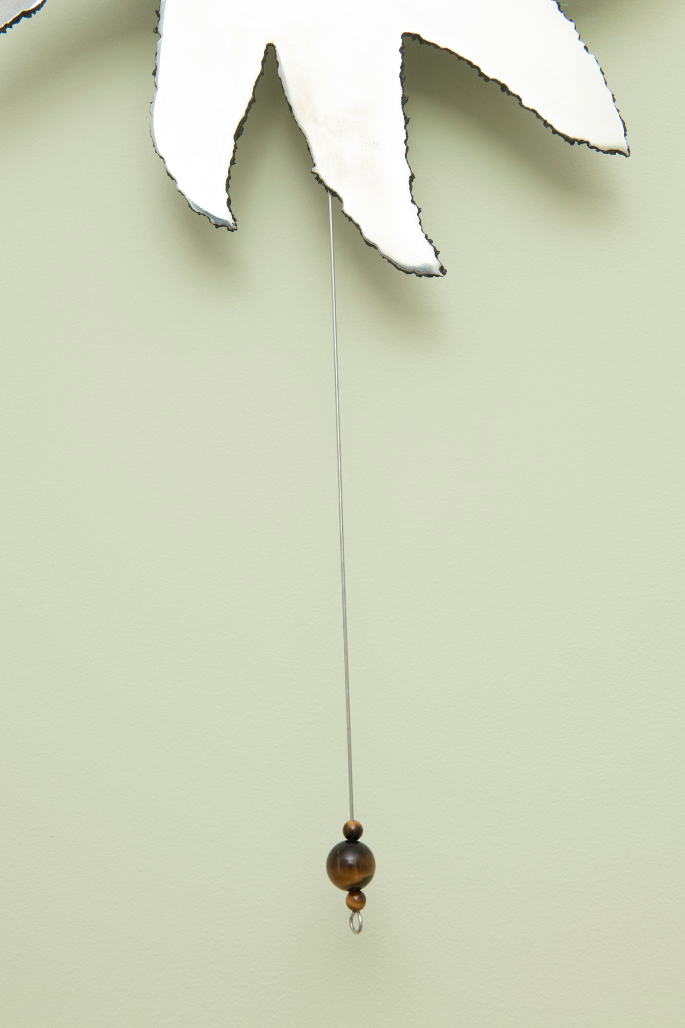 6 Winged Bird