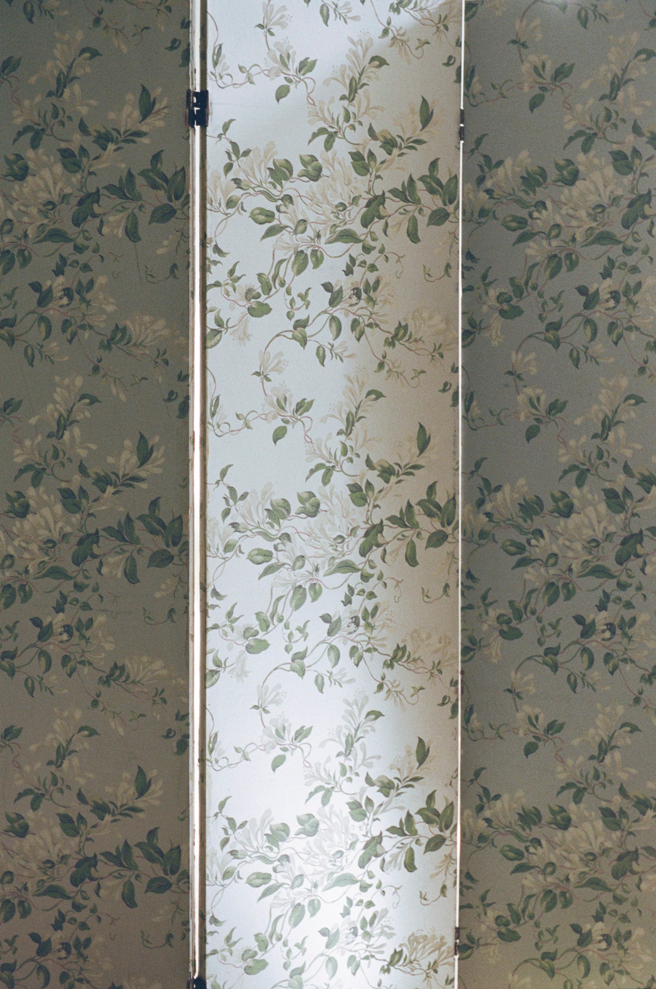 Pair of Chinoiserie Dressing Screens