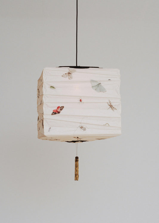Entomology Lantern in Cube