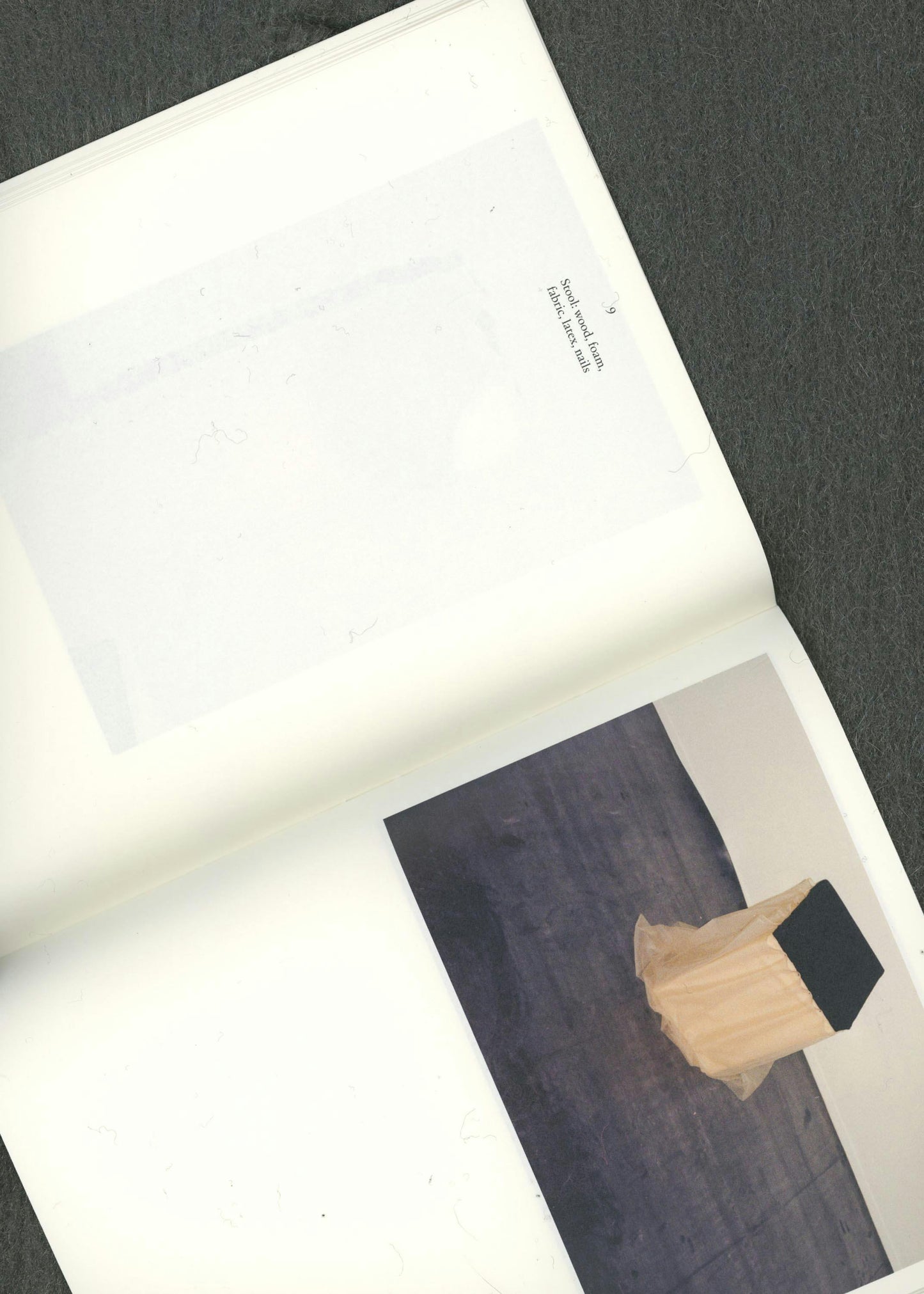 Publication 02 If I did, I did, I die