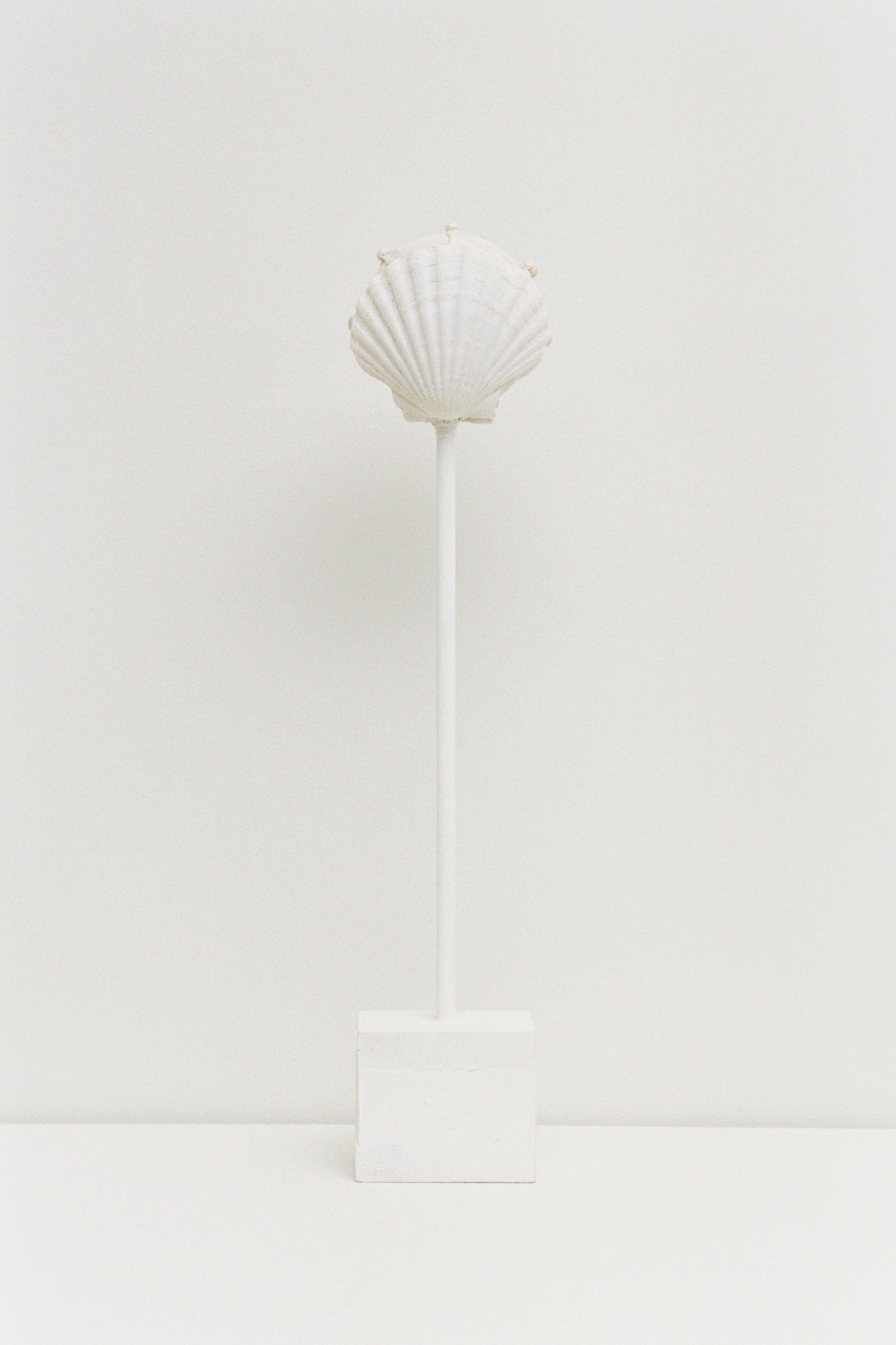 The Verge of Seas to Be