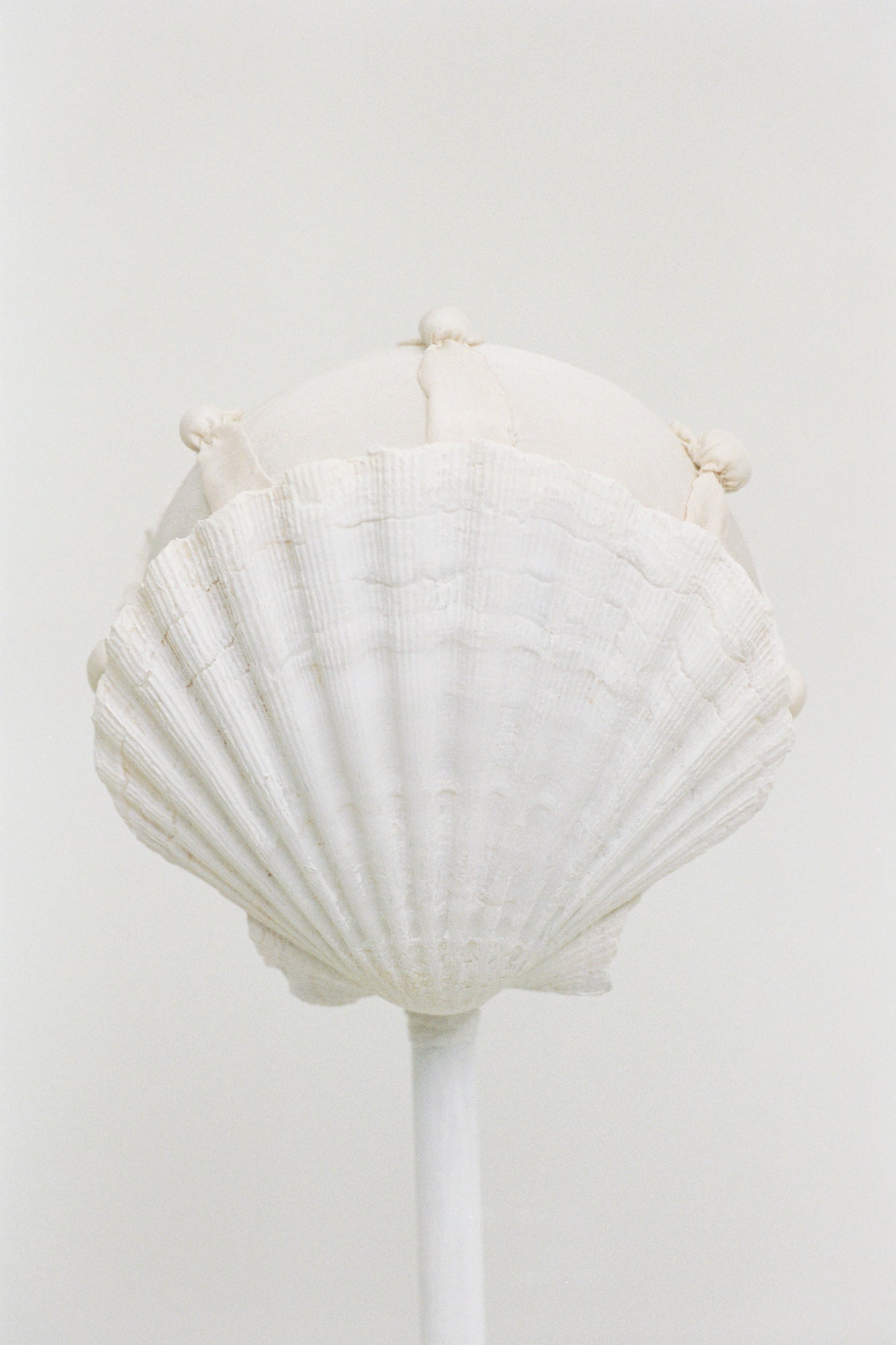 The Verge of Seas to Be