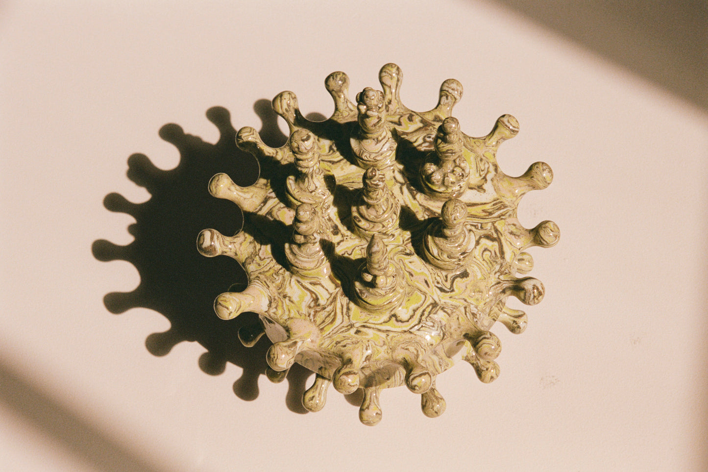 Amoeba