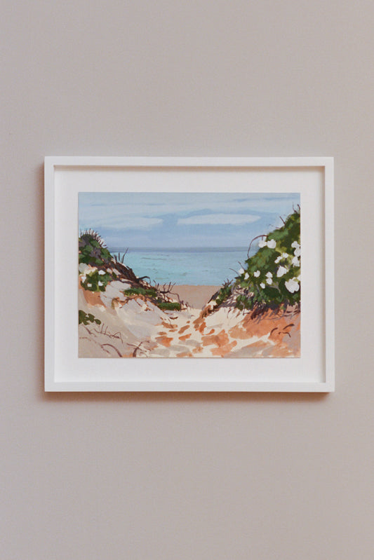 White Wild Roses at Boy Beach