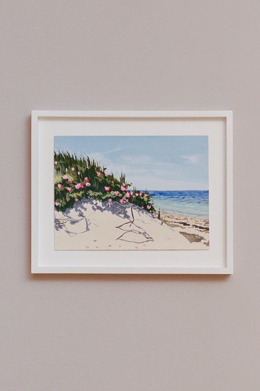 Pink Wild Roses at Boy Beach