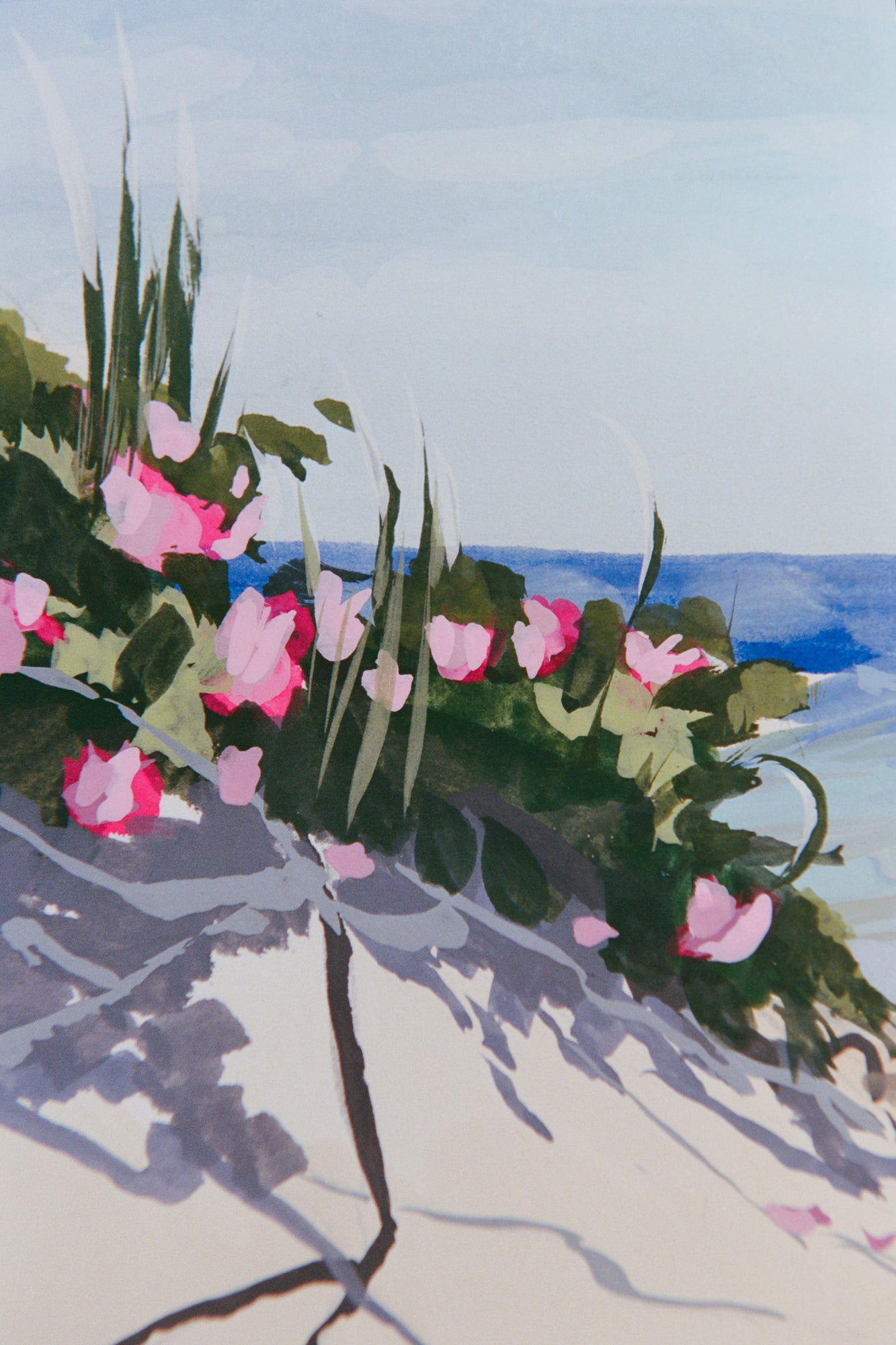 Pink Wild Roses at Boy Beach