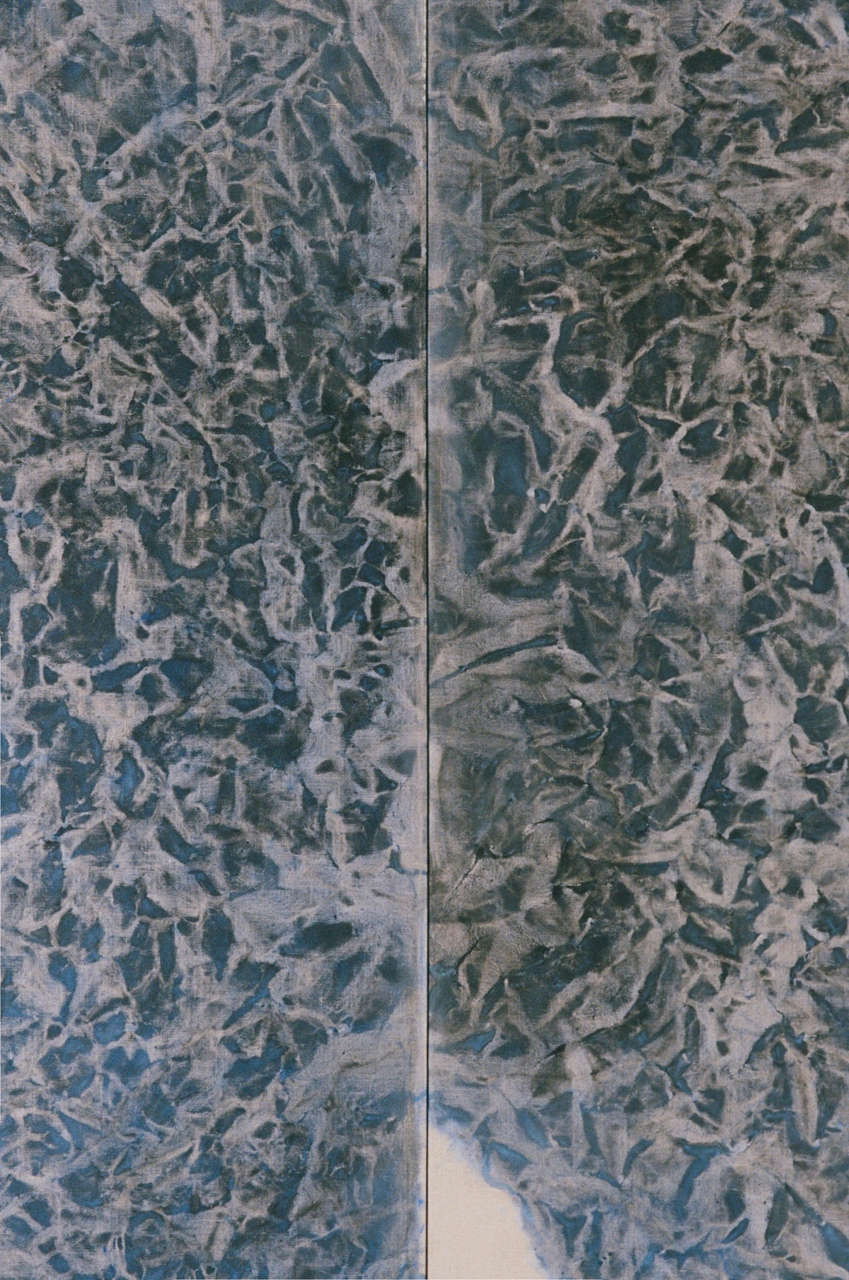 Flying Back Home #1567 (Diptych)
