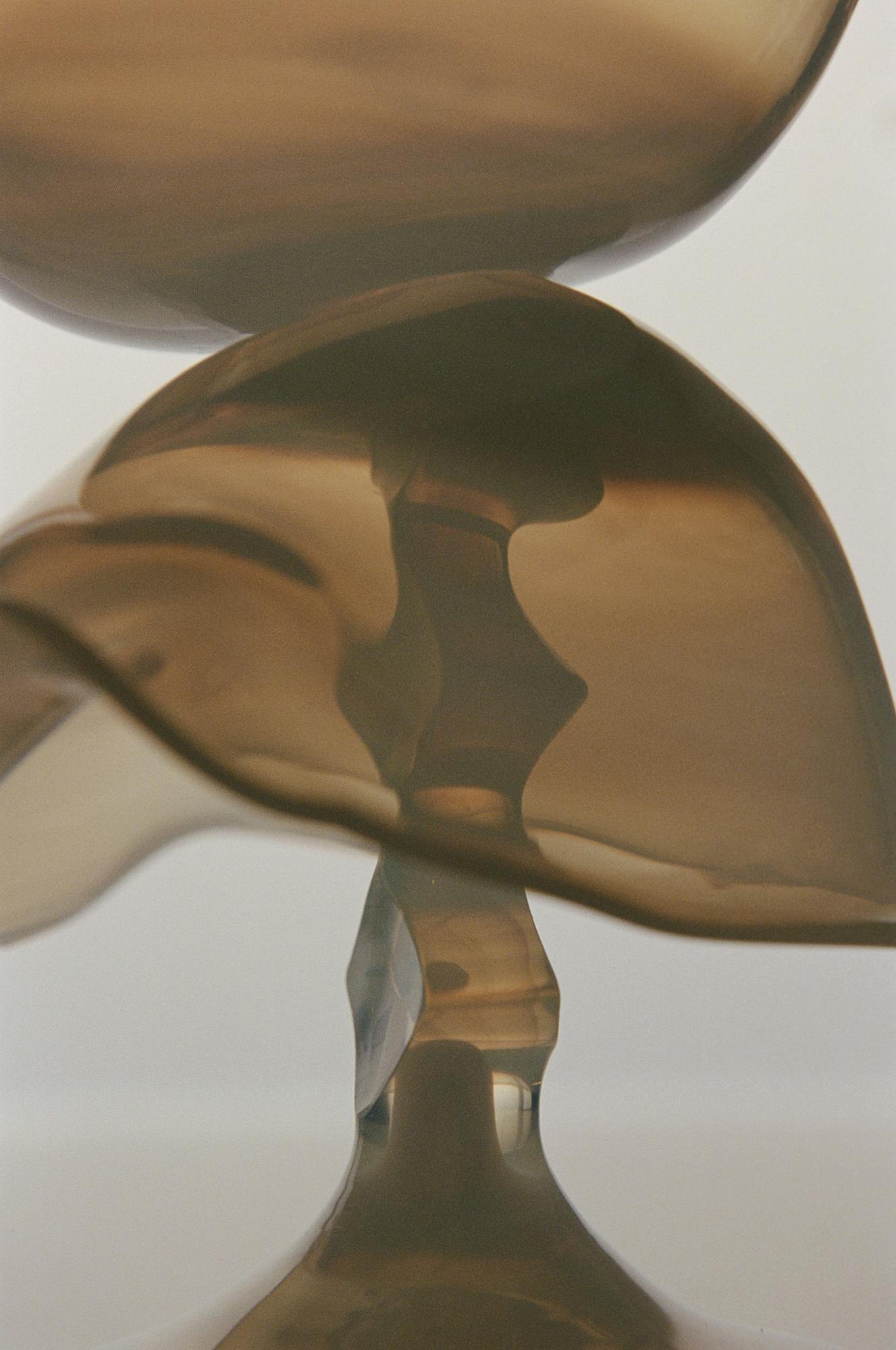 Fasciated I