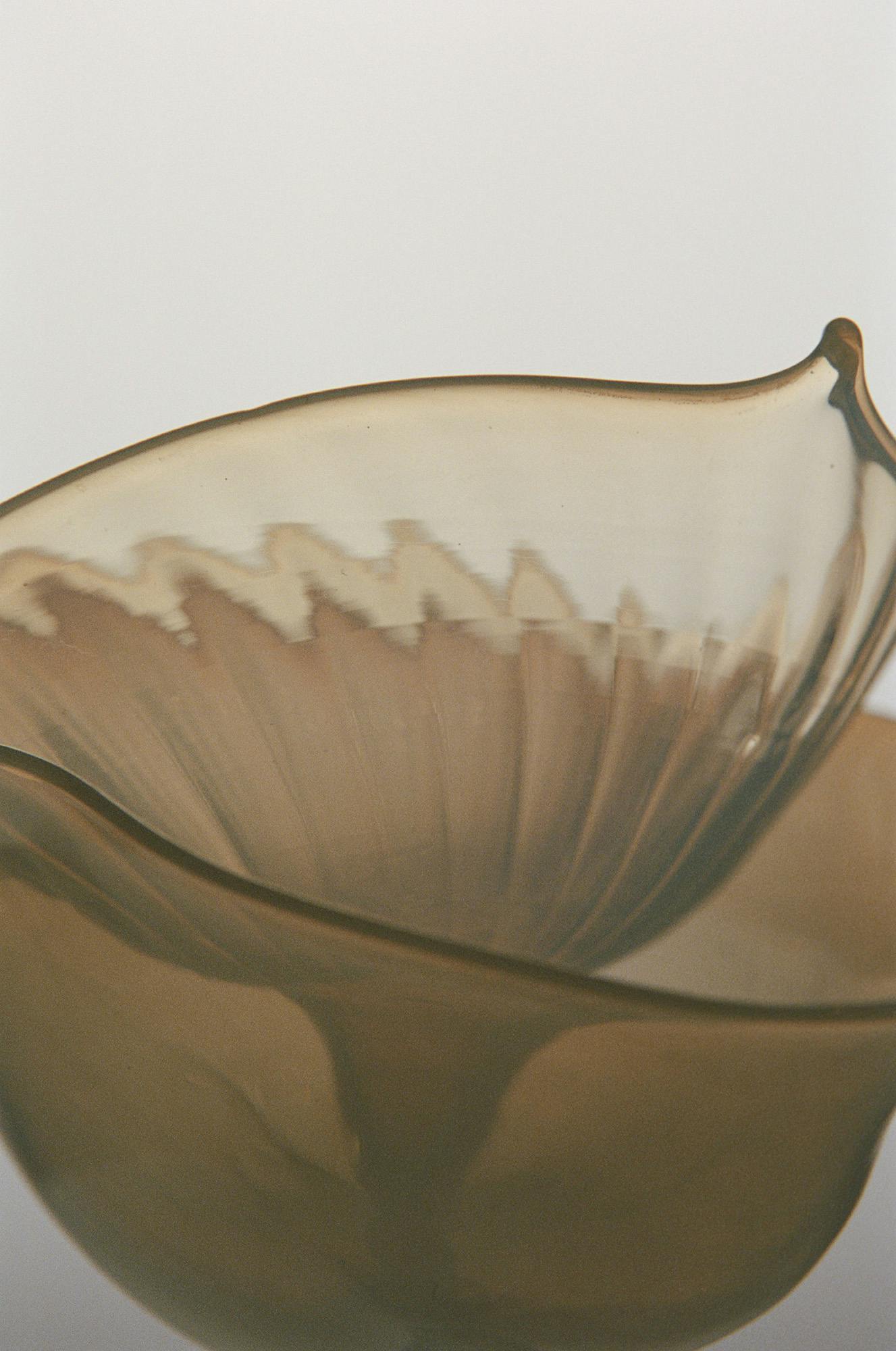 Fasciated II