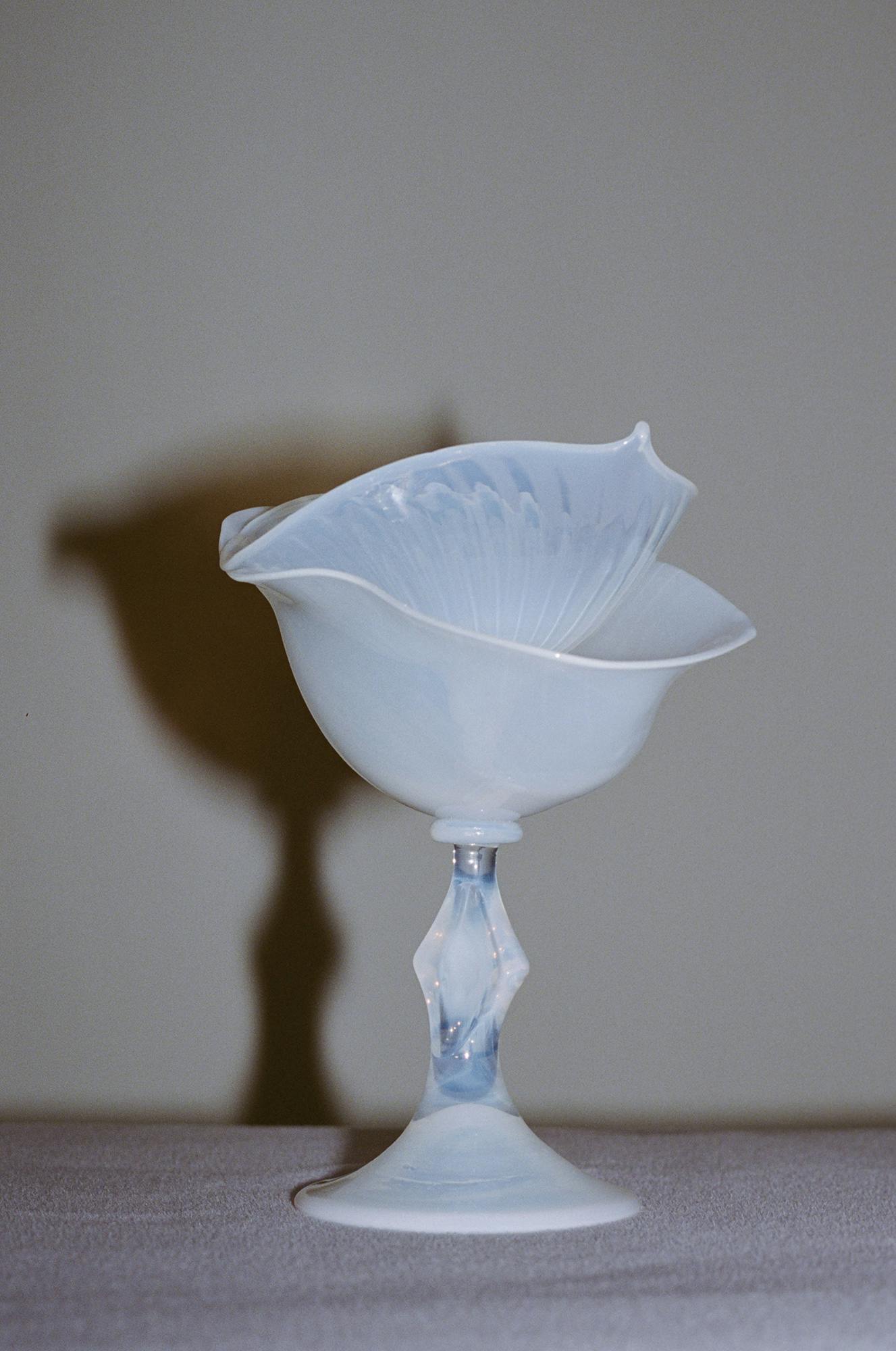 Fasciated II