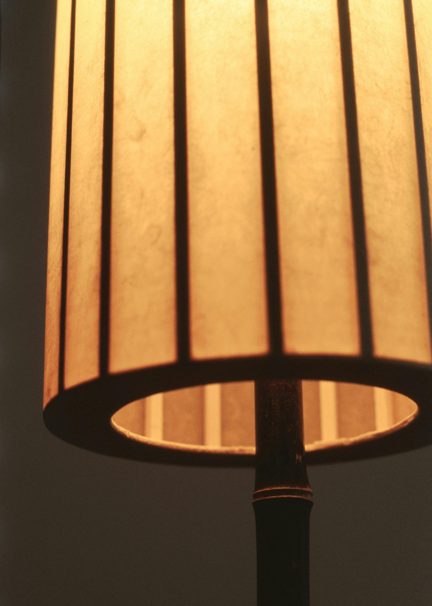 Fish Lamp (Desk Model)